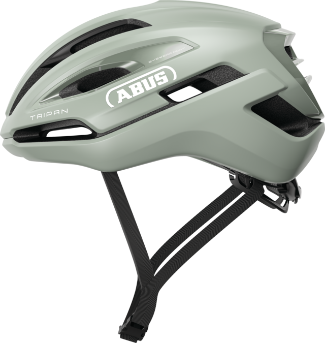 Taipan frosted green L